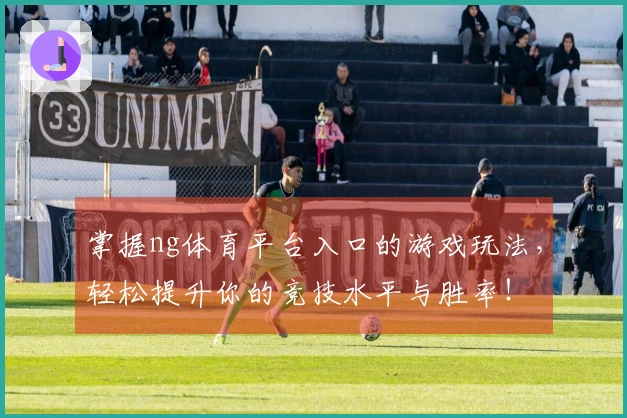 掌握ng体育平台入口的游戏玩法，轻松提升你的竞技水平与胜率！