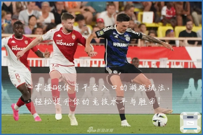 掌握ng体育平台入口的游戏玩法，轻松提升你的竞技水平与胜率！