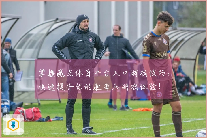 掌握赢点体育平台入口游戏技巧，快速提升你的胜率和游戏体验！